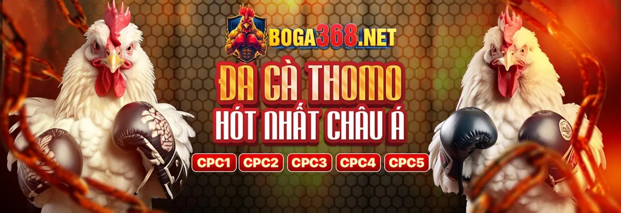Điều Khoản Dịch Vụ 678hi